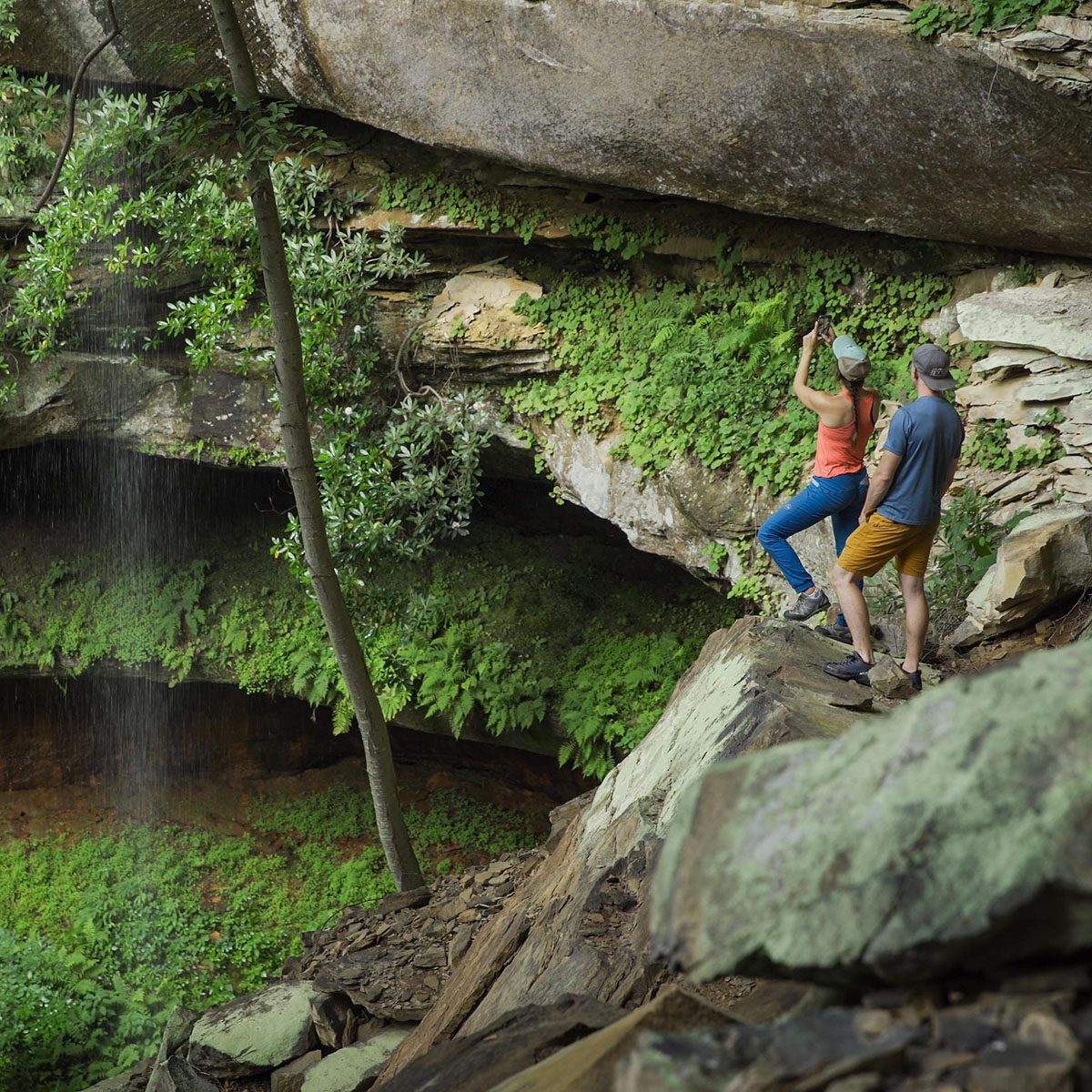 Waterfall and Guided Hiking in Red River Gorge