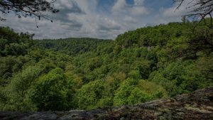 Hiking the Red River Gorge