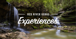 Red River Gorge Experiences Facebook