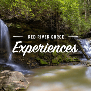 Red River Gorge Experiences Twitter